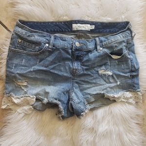 Torrid lace bottom shorts size 14